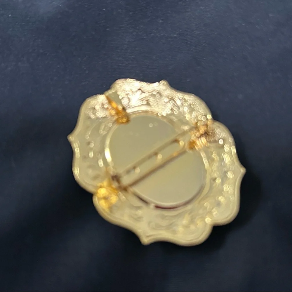 Mother of‎ Pearl/Abalone Fashion Brooch